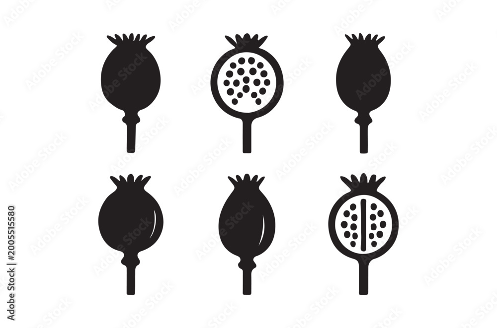 Naklejka premium Six black poppy seed heads in varying stages of ripeness are displayed