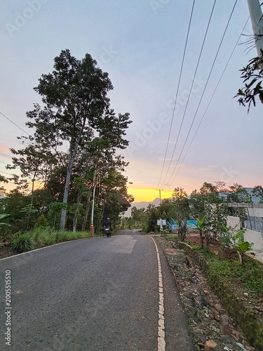 Scenic Rural Road at Sunset with Trees and Mountain View