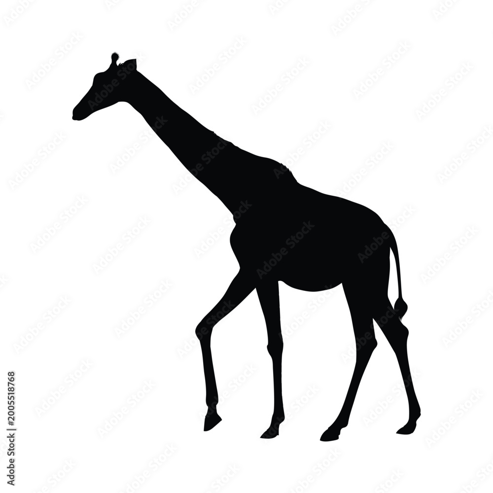 Obraz premium vector