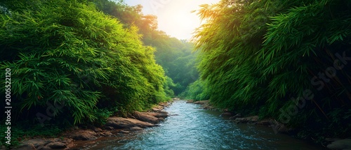 Lush green bamboo forest surrounding clear flowing river at sunset. © MDRAFIQUL