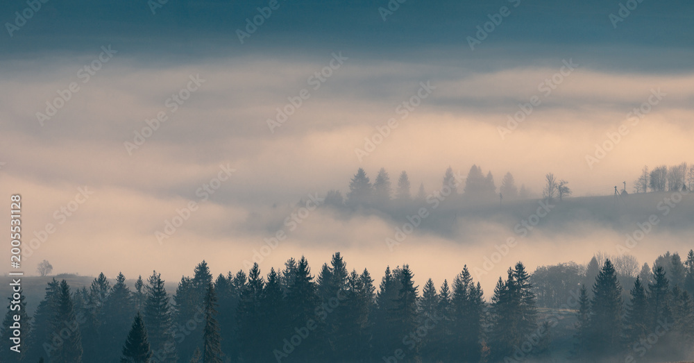 Fototapeta premium Forest trees on the mountain hills in front of a foggy valley, lighten by morning sunlight rays at beautiful autumn sunrise. Carpathian mountains. Ukraine.