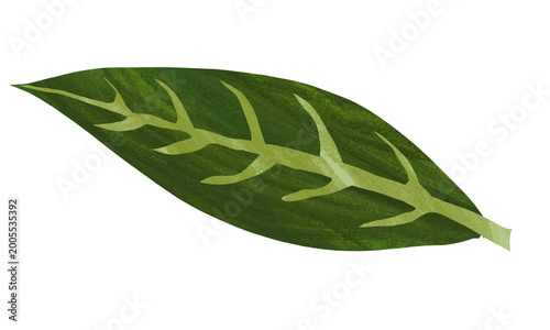 Artistic paper collage leaf with hand-painted gouache texture