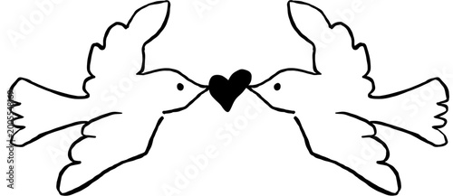 Foto Lovebird 1