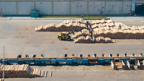 Industrial log sorting and classification process at Viñales plant, Chile.