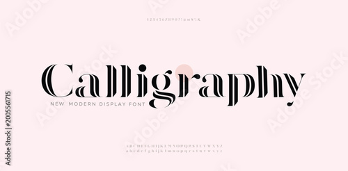 Obraz na plátně Calligraphy, Classic lettering serif fonts decorative for logo wedding vintage retro concept