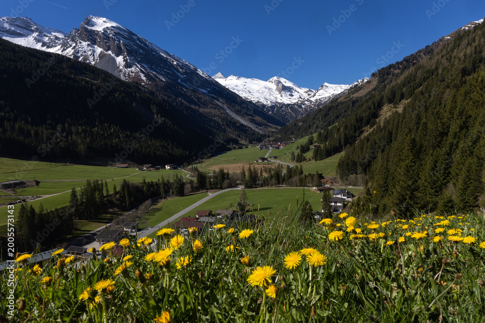 Fototapeta premium Zillertal Tirol