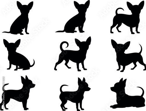 Collection of nine black silhouette chihuahua dog poses on a white background