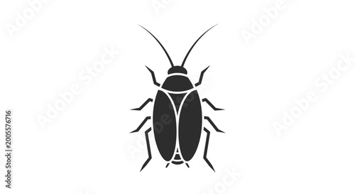 Schilderij op canvas Black cockroach insect pest bug.