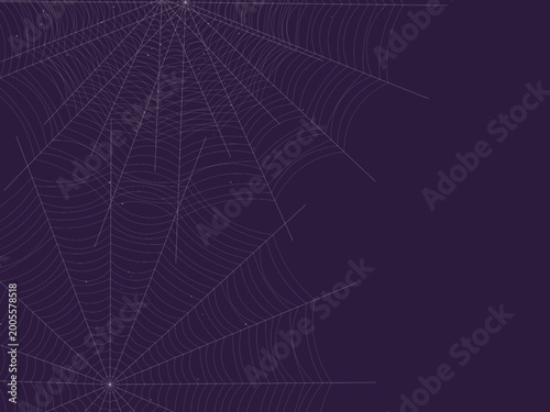 Fotografi Radial Spider Web Cobweb Silk Thread Design