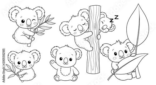 Adorable Koala Bear Collection - Cute Illustrations for Coloring.
