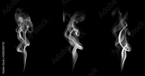 Εκτύπωση καμβά Set of white smoke swirls isolated on black background with smooth flowing shape