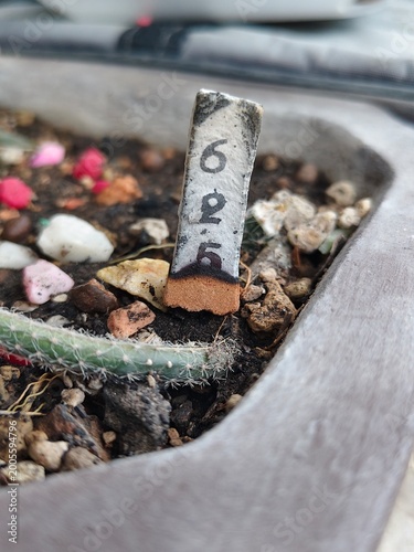 Fotografija Numbered Lottery Incense Stick for Lucky Divination.