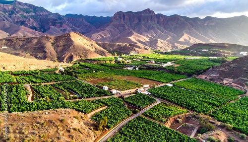 Aerial view of a vast agricultural landscape with green crops and roads