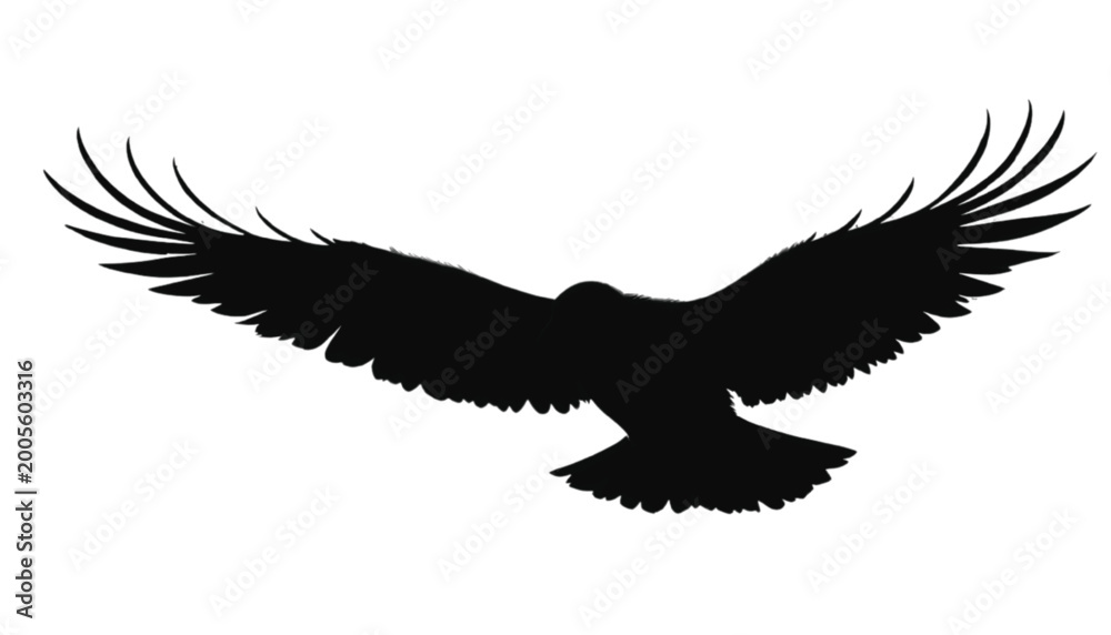 Obraz premium Falcon silhouette glides through the air with outstretched wings in a minimalist black and white style.