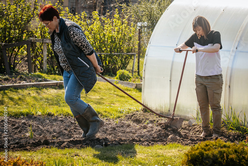 Slika na platnu Two women working in a garden, one using a hoe to till soil while the other pull