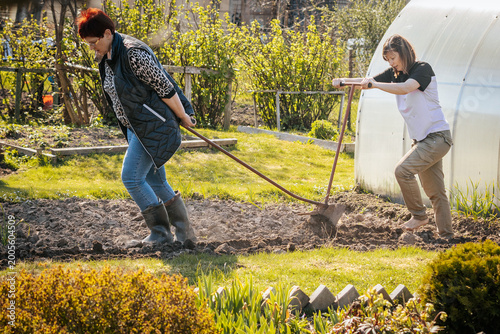 Fotografie Two women working together in a garden, one using a hoe to till soil while the o