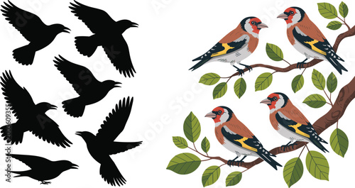 Fotografie Vector illustration of flying bird silhouettes and perched colorful goldfinches
