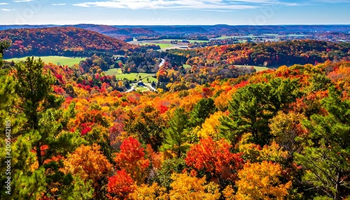 Aerial view of vibrant forest landscape with autumn foliage