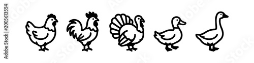 Quadro su tela Minimalist Poultry Bird Icon Set Featuring Hen Rooster Turkey Duck and Goose in