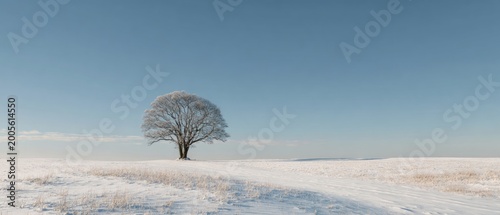 Solitary Tree in Minimal Snow Covered Winter Landscape Under Clear Blue Sky