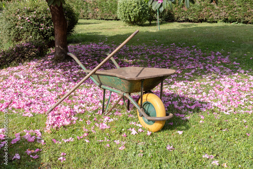 spring landscaping work featuring a rake and wheelbarrow among scattered pink petals on green grass