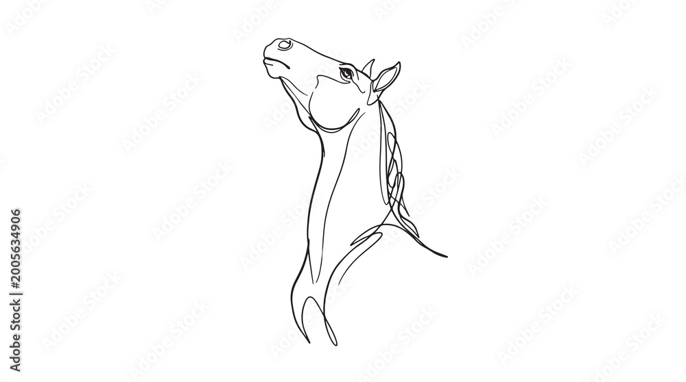 Fototapeta premium Elegant continuous line art drawing of a horse head looking up, minimalist equestrian animal illustration on a clean white background