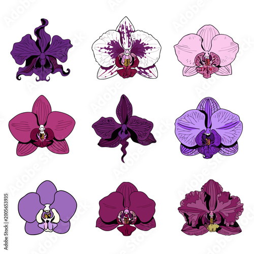 Orchideenblüten