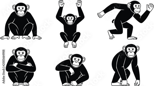 Obraz na płótnie Primate Silhouette Collection Monkey Poses and Jungle Animal Shapes Pack