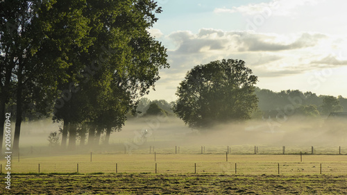 Misty morning scene with sunbeams over a peaceful field