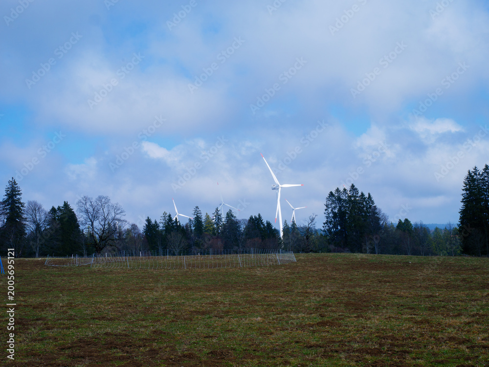 Fototapeta premium Wind turbines on a grassy field under a cloudy sky with trees in the background, showcasing renewable energy sources in a rural landscape setting