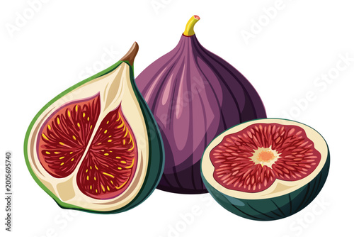 Fresh organic fig fruits displayed as a detailed vector illustration featuring one whole piece and two cut fruit halves together