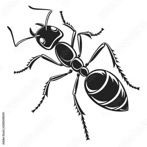 Black of an ant on a white background insect six legs