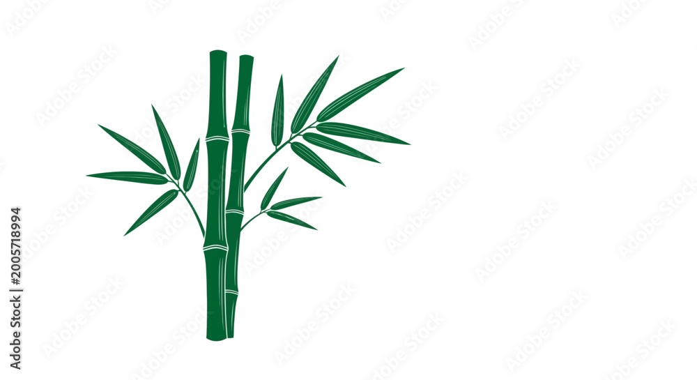 Obraz premium Zen-style vector illustration of a green bamboo plant with leaves and branches isolated on white background for Japanese nature garden decoration