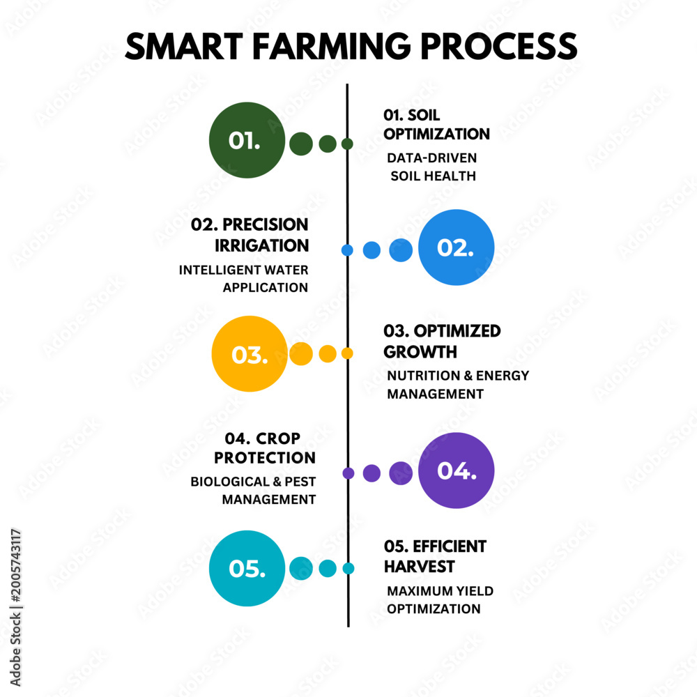 Fototapeta premium Clean minimalist 5 steps smart farming process infographic with dotted line and colorful circles 
