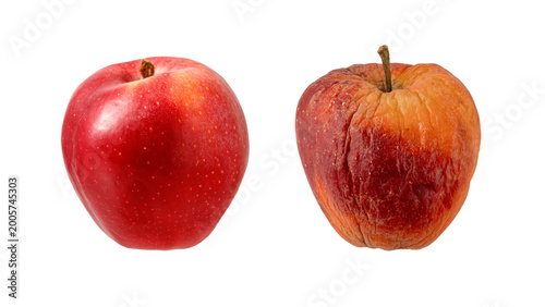 Cuadro en lienzo Fresh ripe and slugish rotten red apple fruits isolated on white