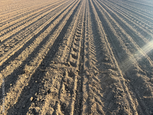 Ploughed and cultivated field, bare earth