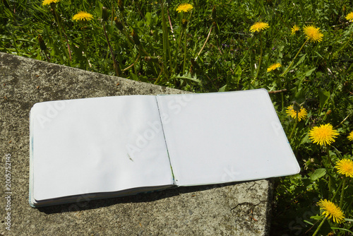 Obraz na plátně An open blank sketchbook lying on green grass with spring flowers and soft shadows