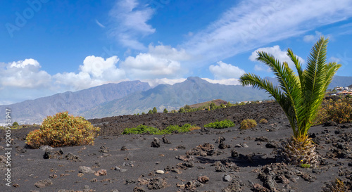 Photos Volcanic Landscape at Tubo Volcánico Cueva de las Palomas on La Palma Island