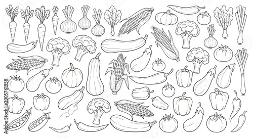 фотографія Vegetable icons, vegetable illustrations, 40 vegetable line art drawings, black