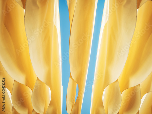 close up of yellow petals with view to blue sky