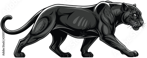 Tableau sur toile Fierce Black Panther Walking Side View Detailed Illustration Isolated on White B