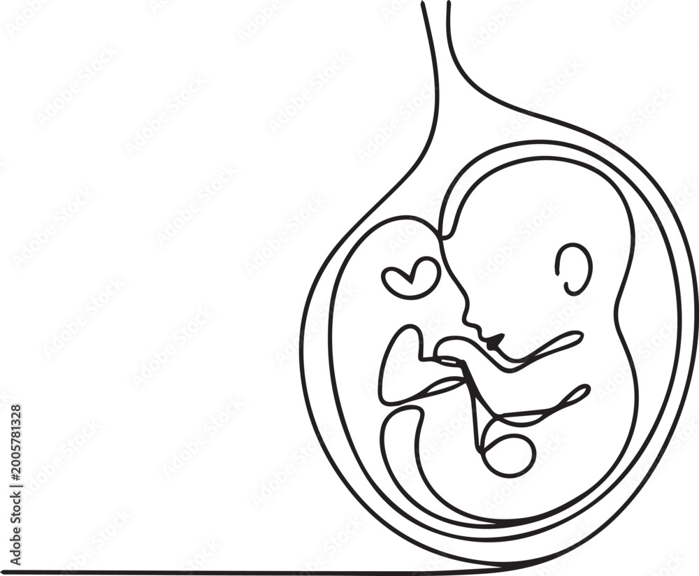 Obraz premium hand drawn fetus development illustration inside uterus medical sketch line art