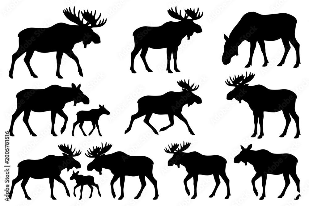 Fototapeta premium Silhouettes of moose in various poses and sizes against white background.
