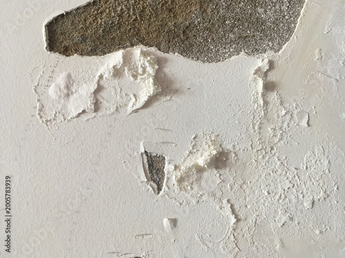 Canvastavla Damaged with Dampness in walls - Penetrating - Rising Dampness - Stock Image