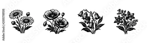 Schilderij op canvas Black and white floral illustrations featuring poppies bellflowers daisies and l