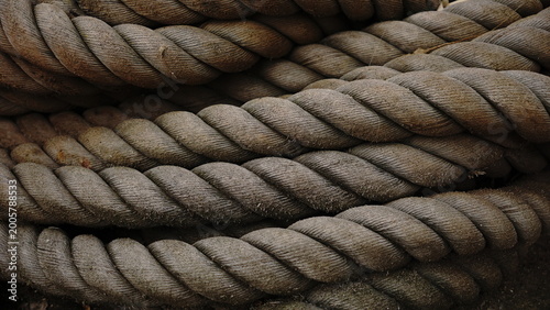curved texture of industrial ropes in the twilight