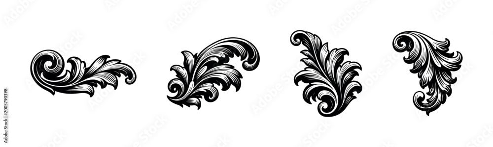Fototapeta premium Elegant black and white ornament design, flourish botanical elements, vector illustration