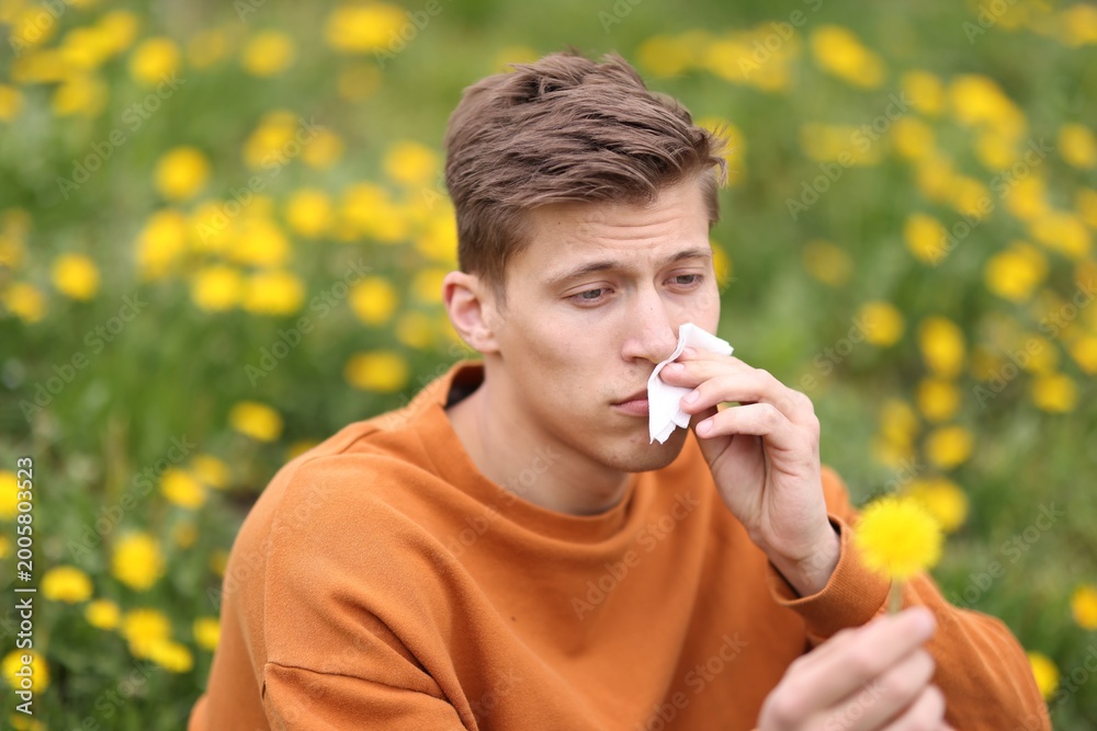 Fototapeta premium Man with paper tissue and dandelion suffering from seasonal pollen allergy among flowers on spring day
