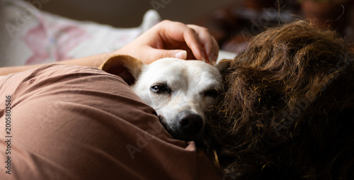 Person Cuddling White Dog on Couch Showing Comfort.