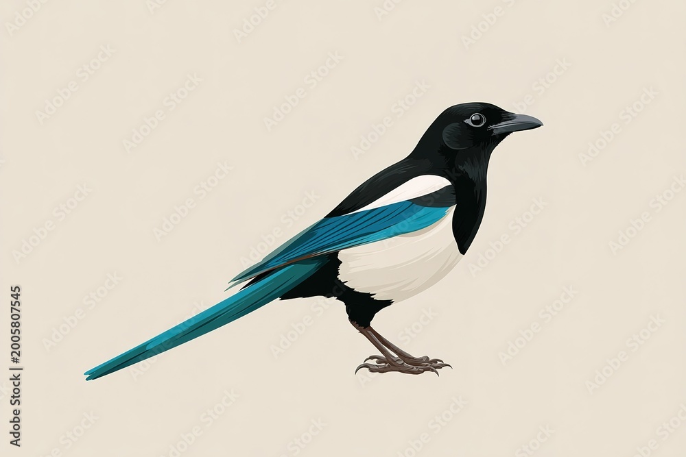 Obraz premium Magpie Perched, Black and Blue Feathers